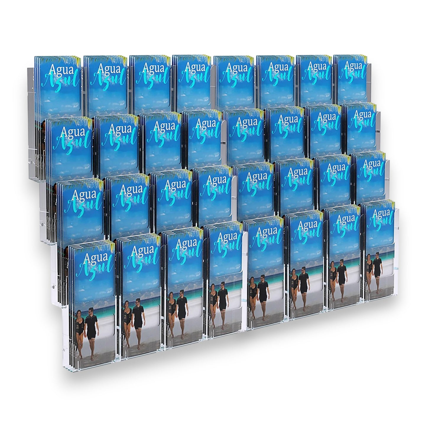 32xDL Wall Mount Brochure Holders Lit Loc